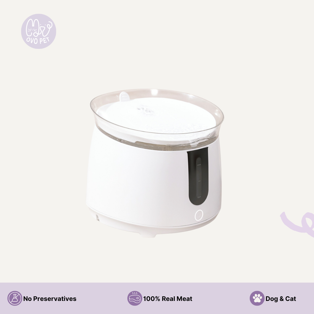 Premium Auto Water Feeder Water Dispenser