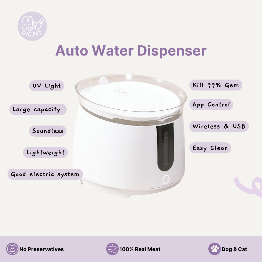 Premium Auto Water Feeder Water Dispenser
