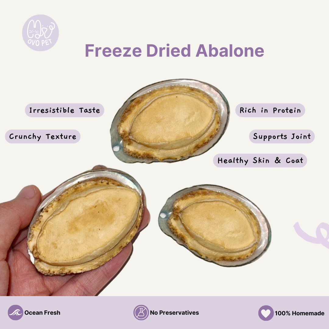 Homemade Freeze Dried Abalone