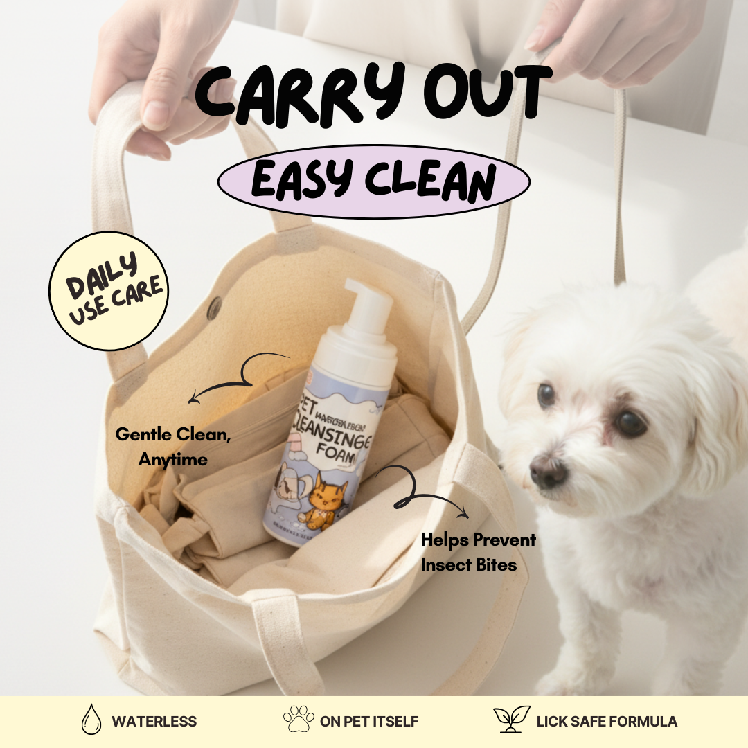 Waterless Cleansing Foam 200ml