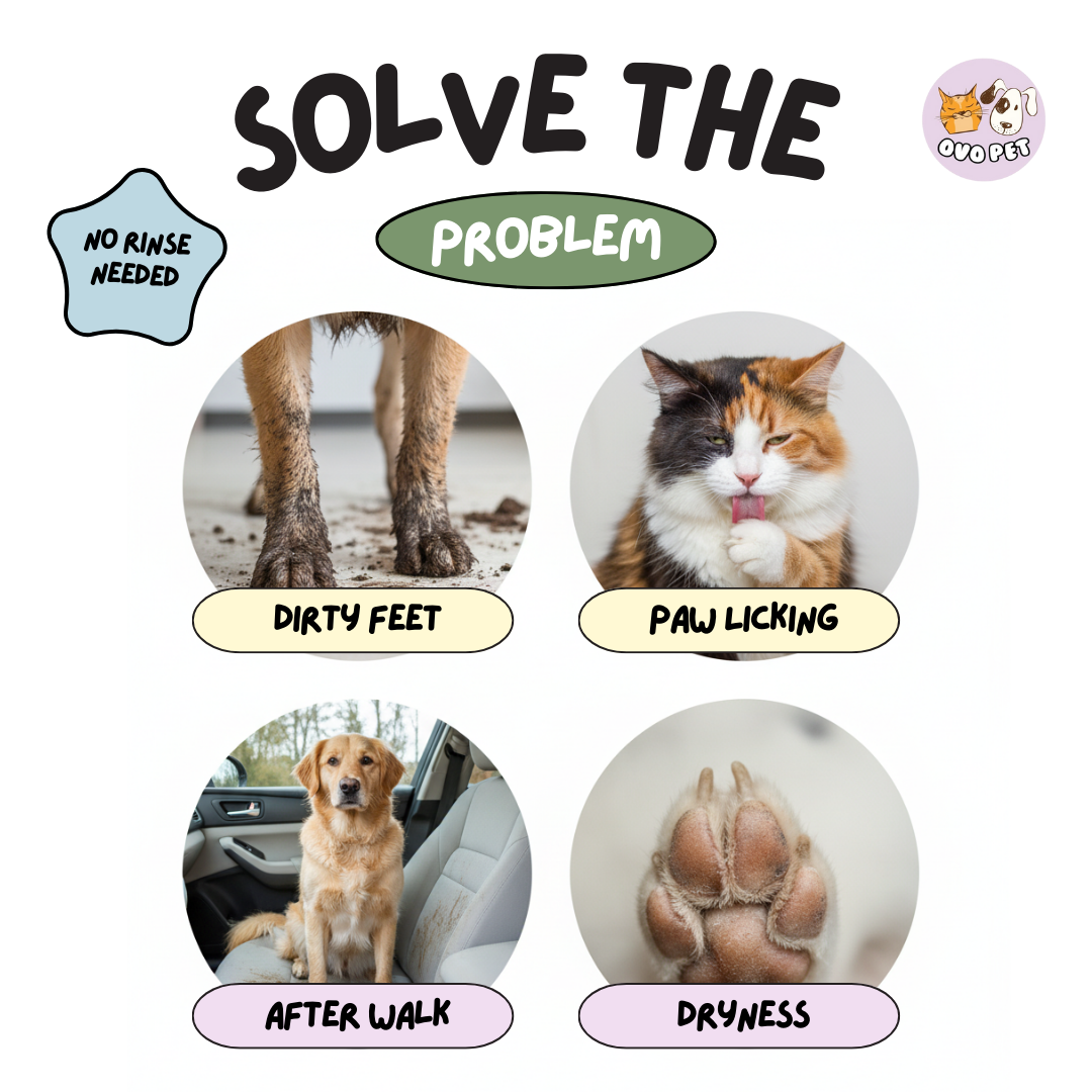 Paw Cleaner with Silicone Scrubber