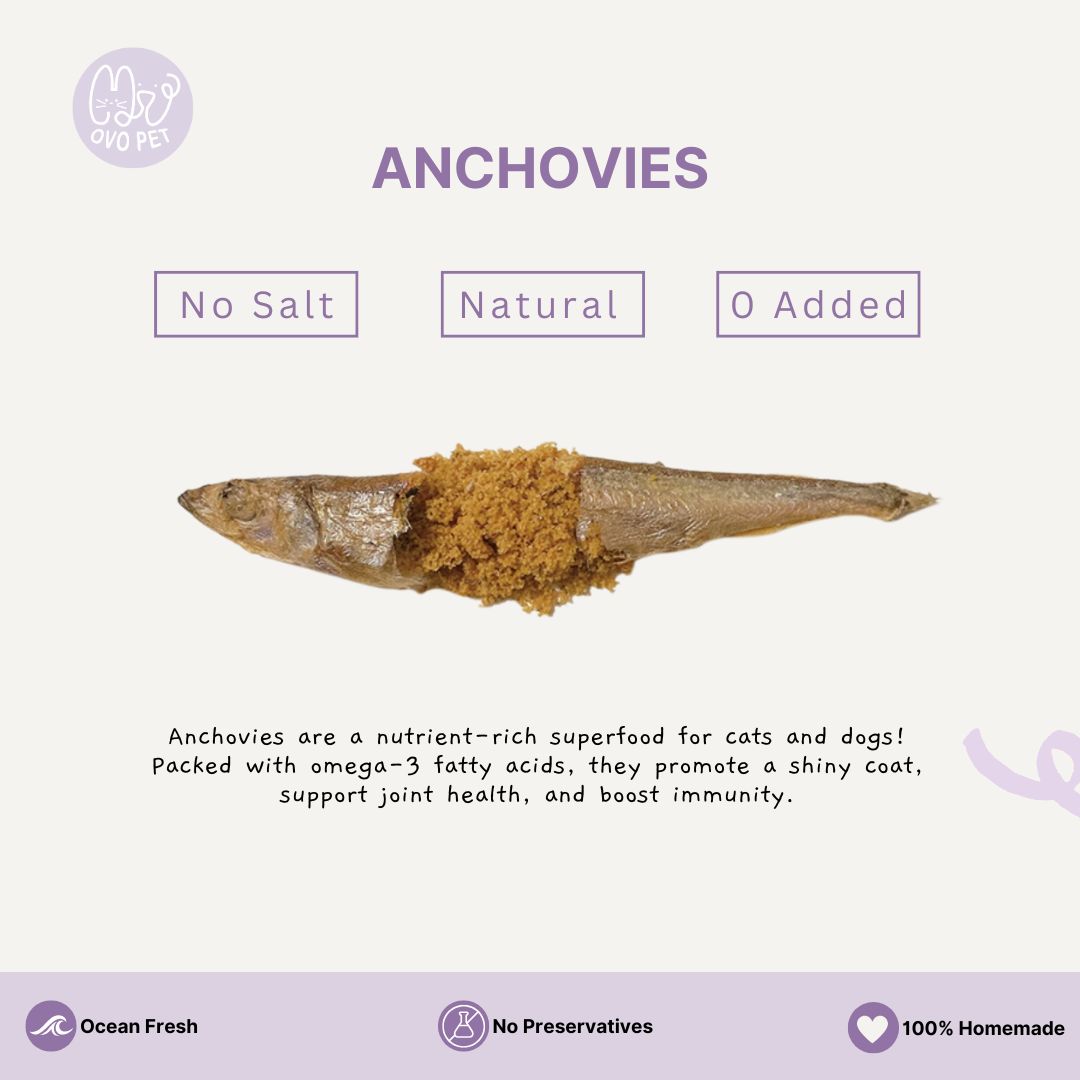 Homemade Freeze Dried Anchovies Pet Treat