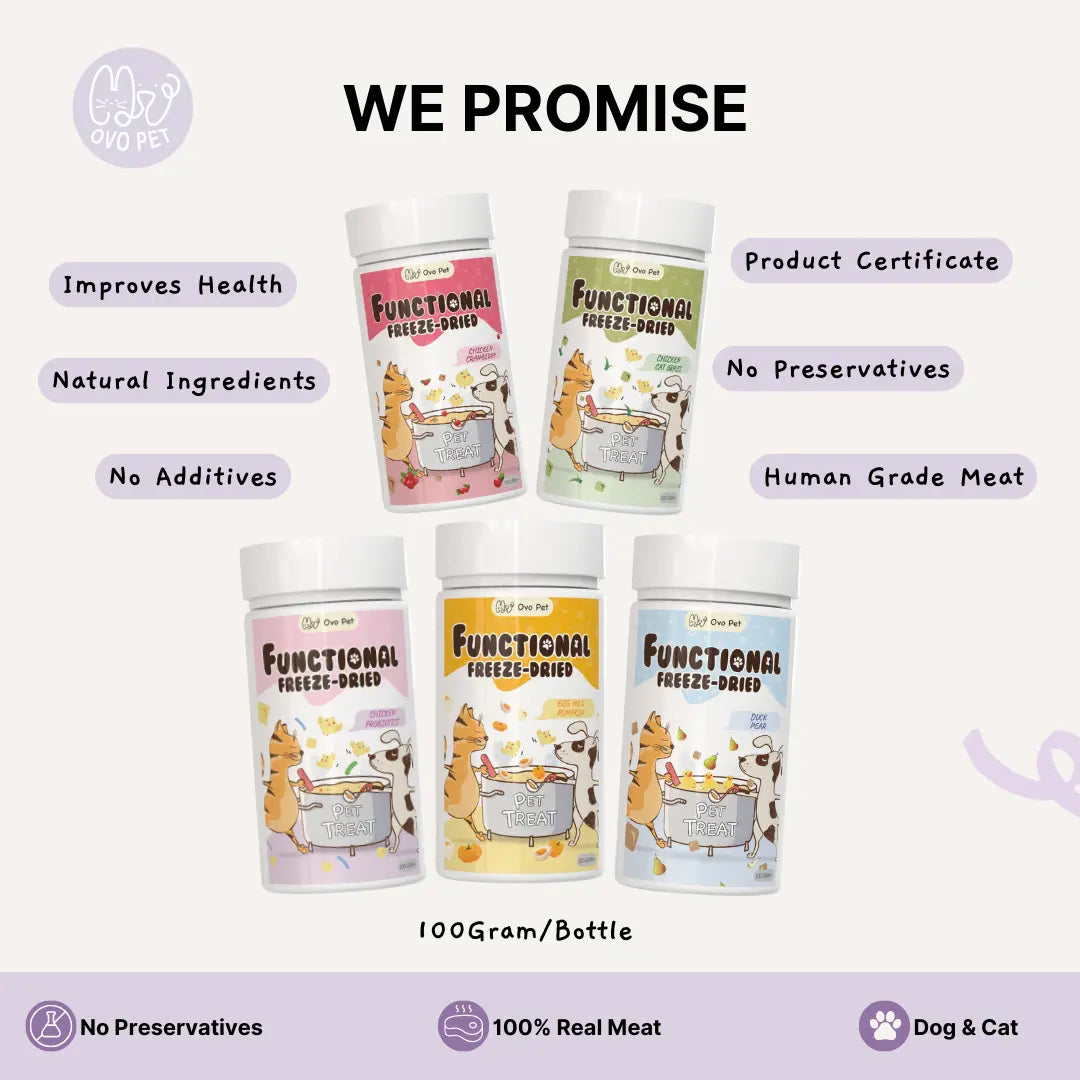 Chicken Cranberry- Functional Freeze Dried 100G OVO PET