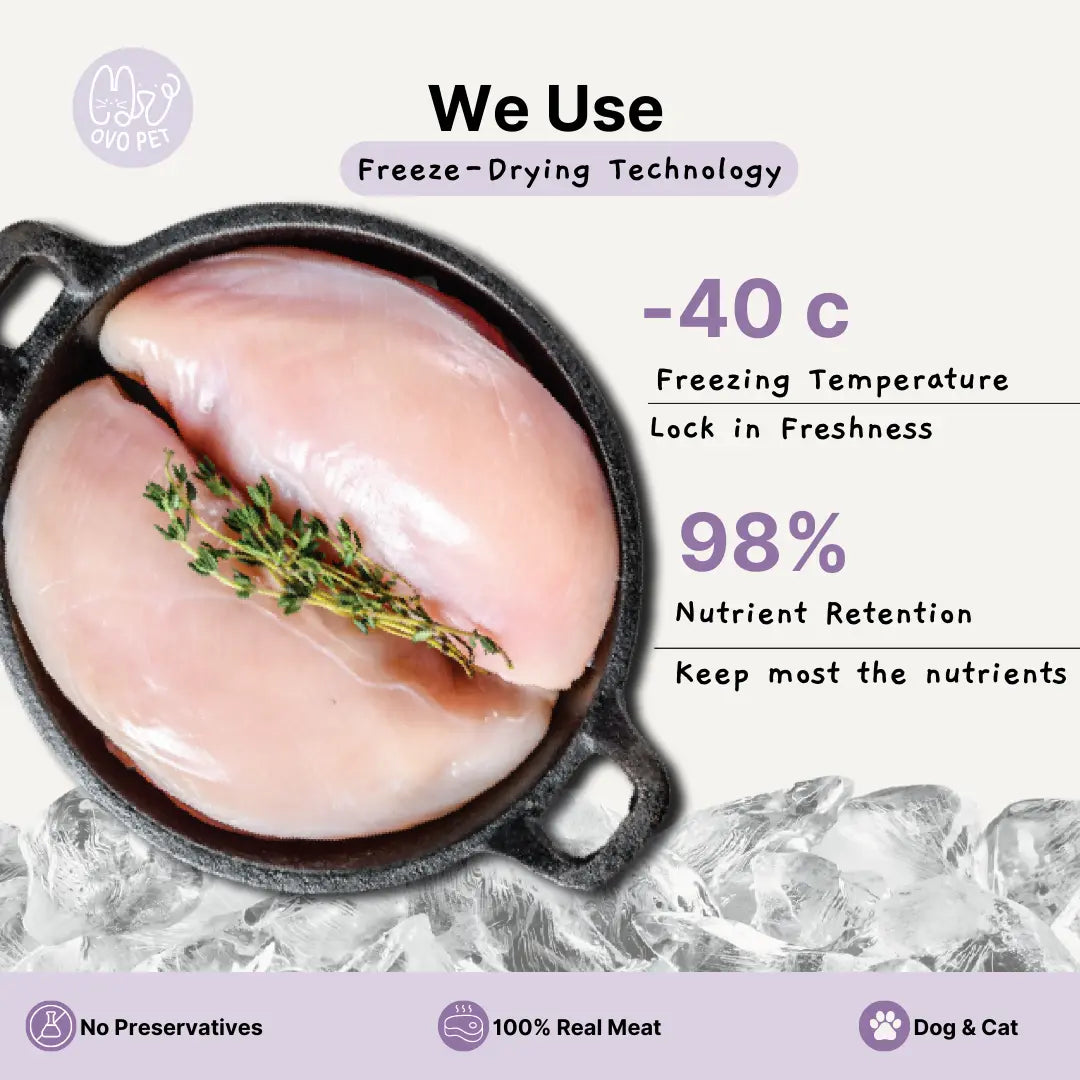 Chicken Cranberry- Functional Freeze Dried 100G OVO PET