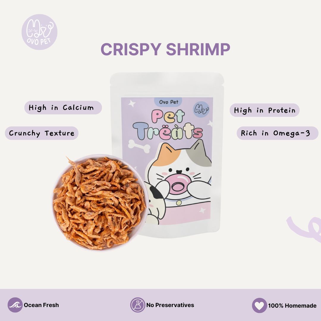 Homemade Crispy Shrimp