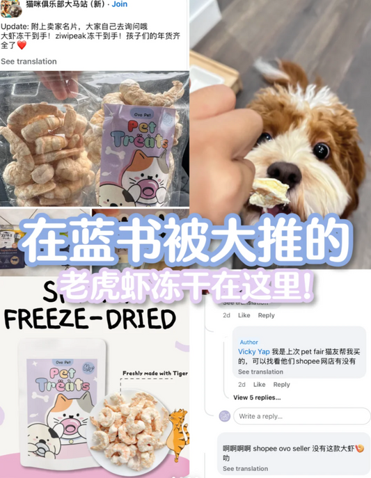 在FB被议论的宠物冻干老虎虾｜2天出掉100包 🦐