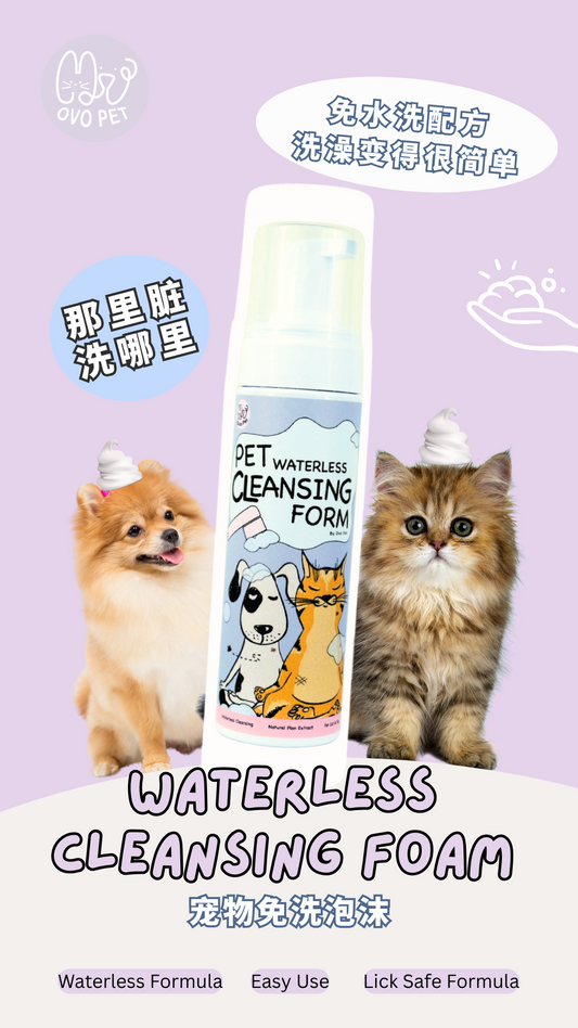 太忙？两个多月没洗澡的崽，是怎么做到不臭的 - 免洗泡沫