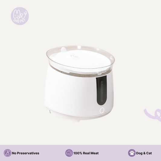 Premium Auto Water Feeder Water Dispenser
