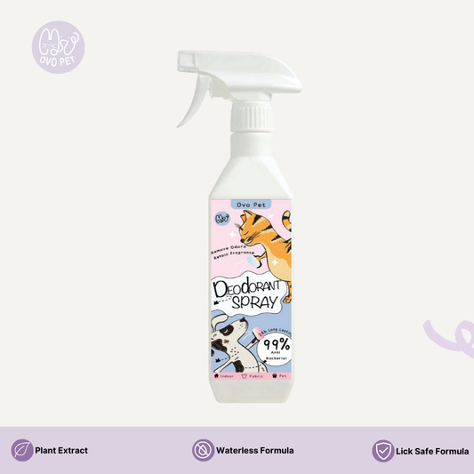 Deodorant Spray 500ML