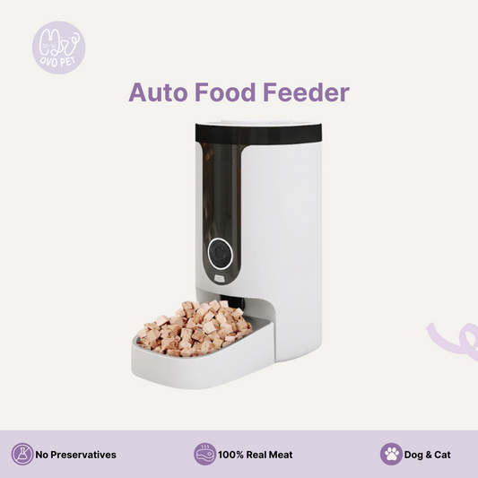 Portable Auto Smart Feeder
