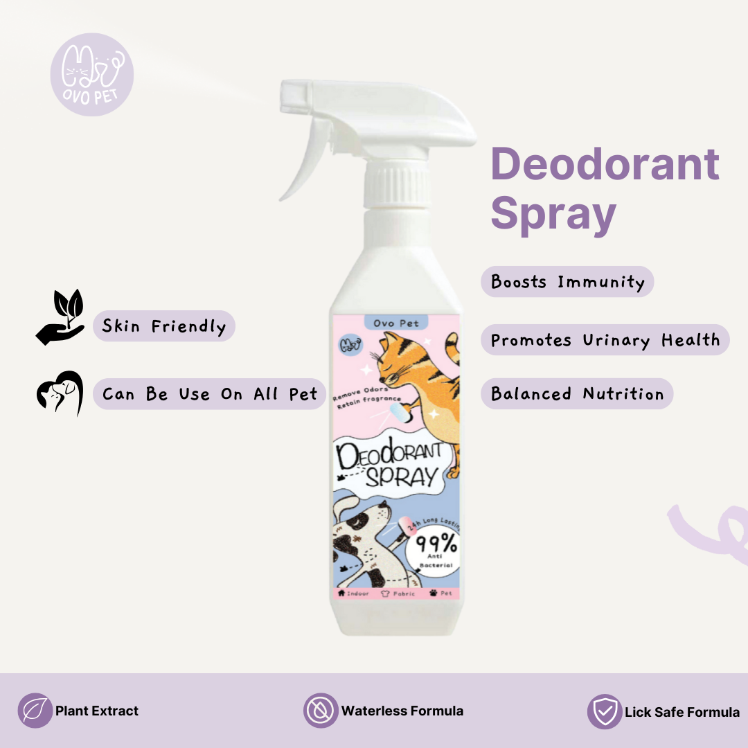 Deodorant Spray 500ML