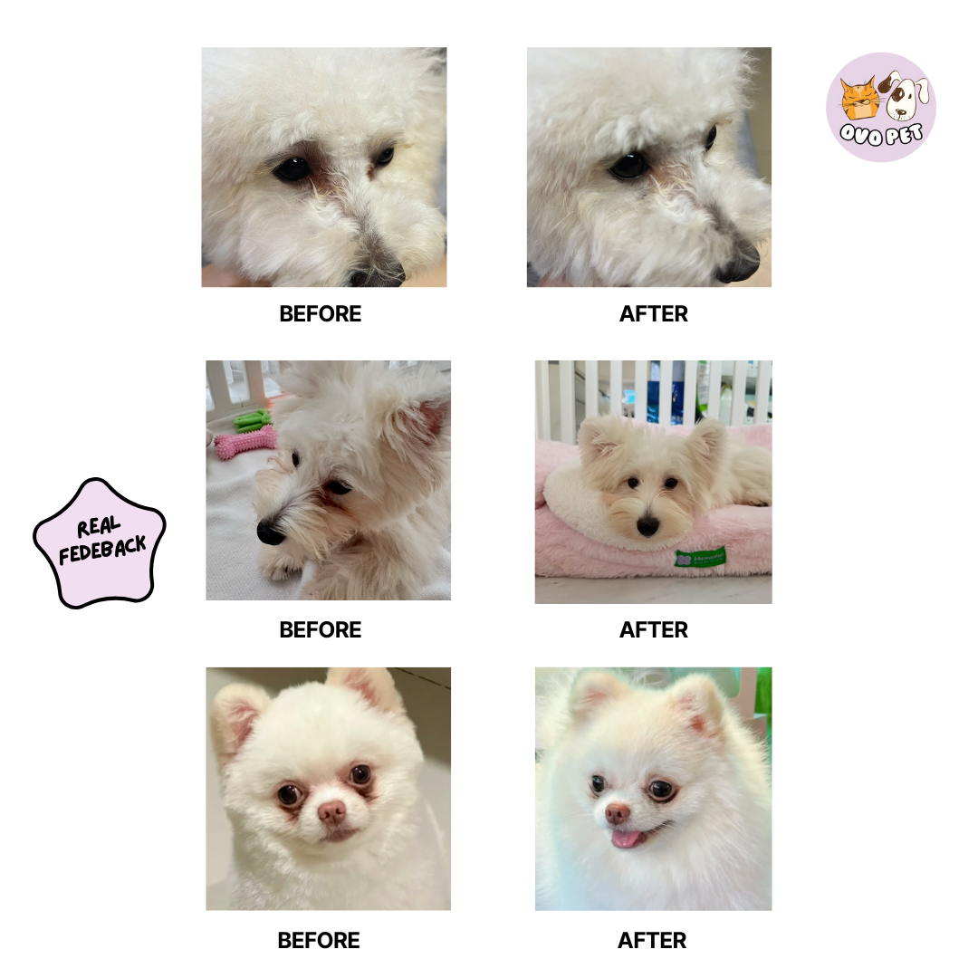 BYE BYE TEAR STAINS Remover