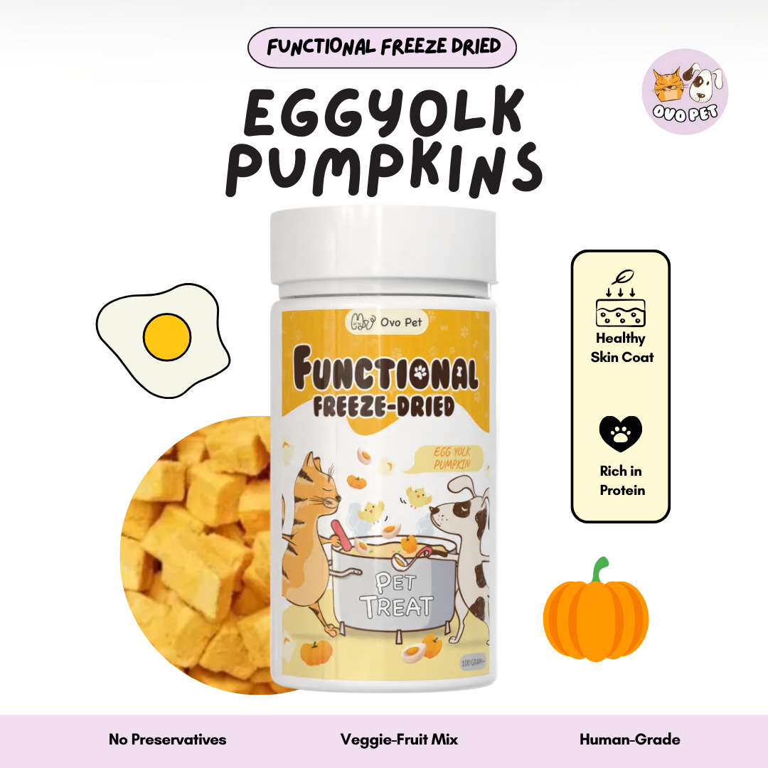 Pumpkin Eggyolk Freeze Dried - For Skin Coat