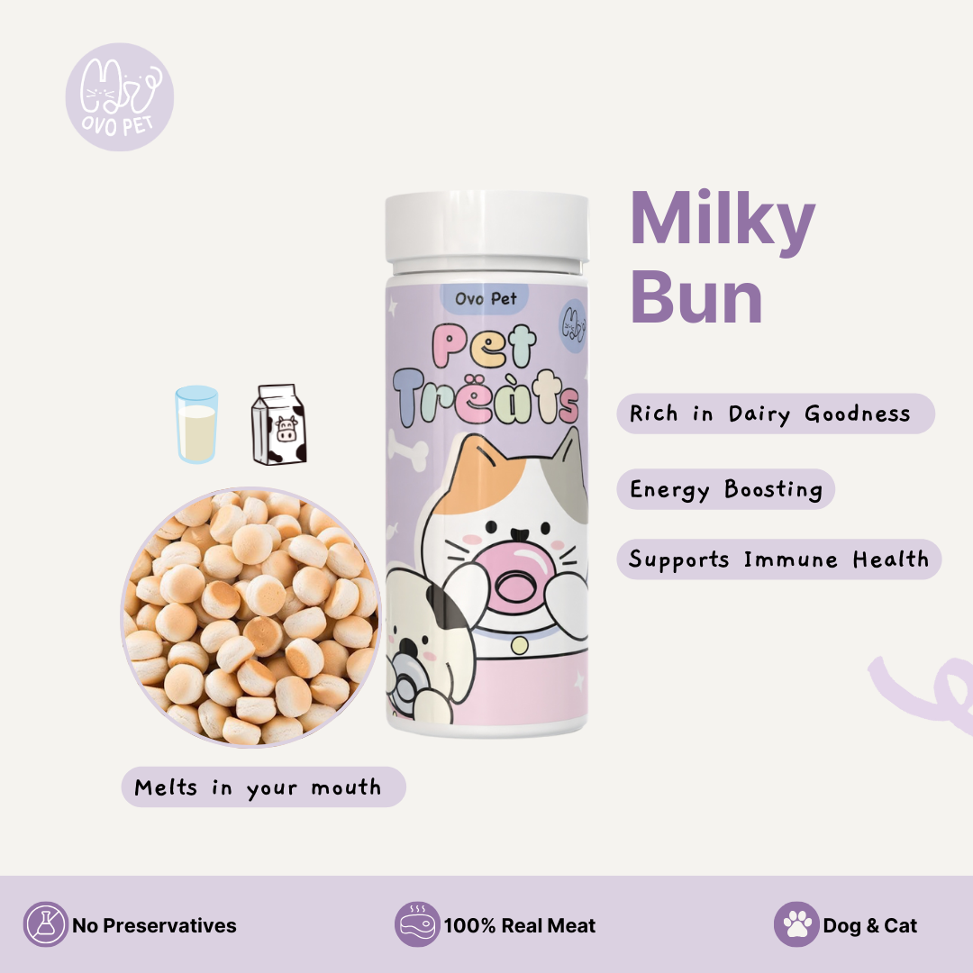Milky Bun