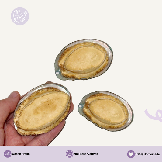 Homemade Freeze Dried Abalone