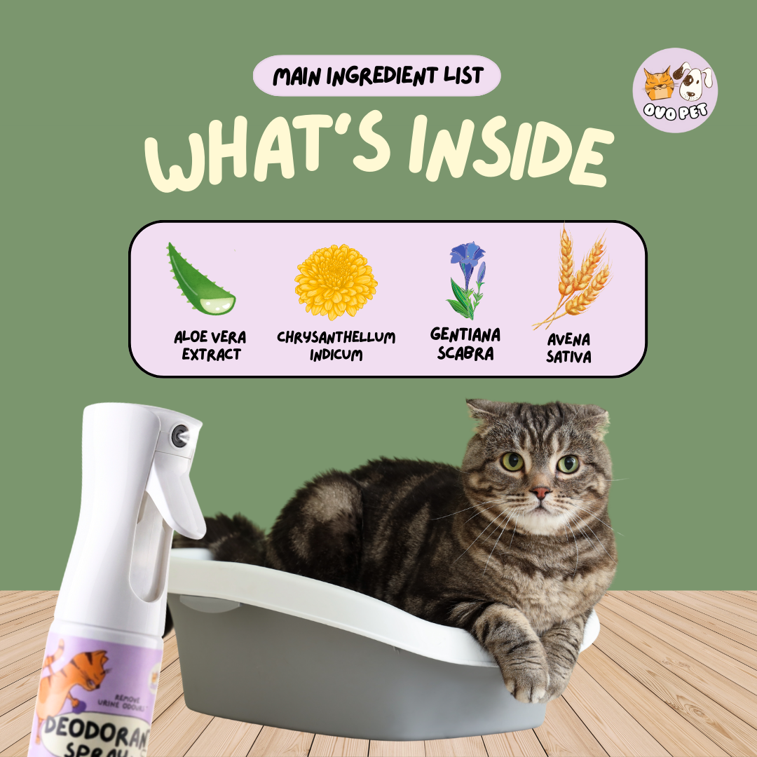 [Limited Ready Stock] Deodorant Spray 2.0 Upgraded Version