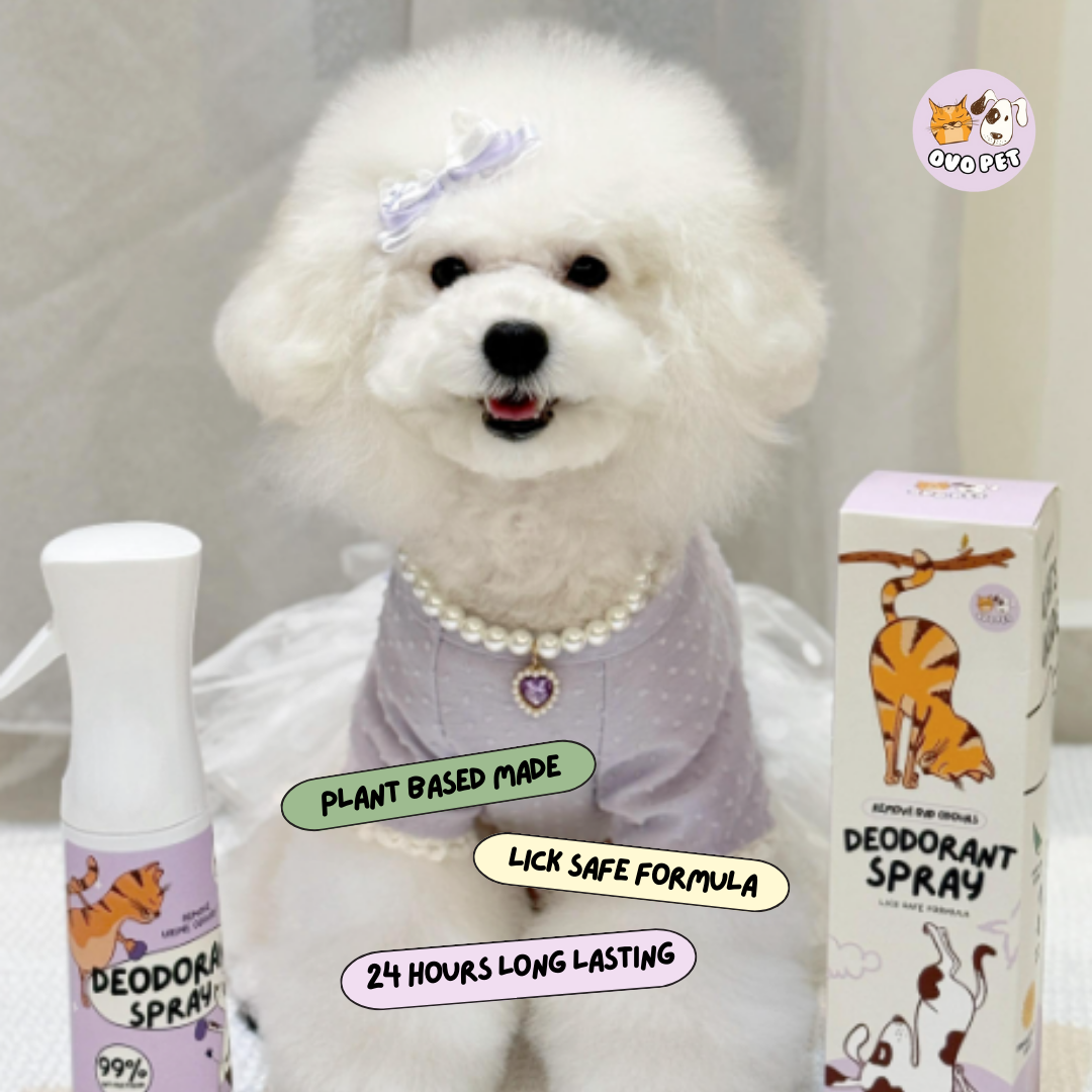 [Limited Ready Stock] Deodorant Spray 2.0 Upgraded Version