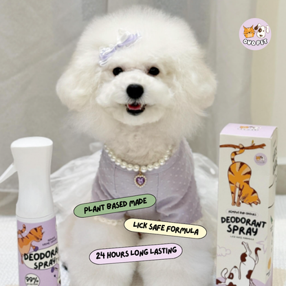 [Limited Ready Stock] Deodorant Spray 2.0 Upgraded Version