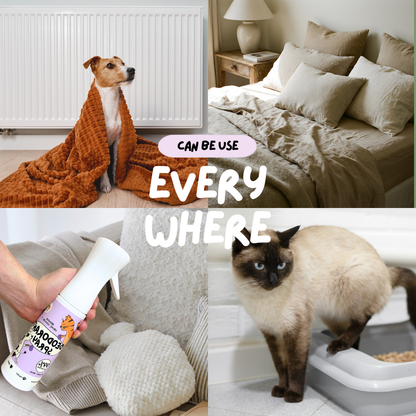 [Limited Ready Stock] Deodorant Spray 2.0 Upgraded Version