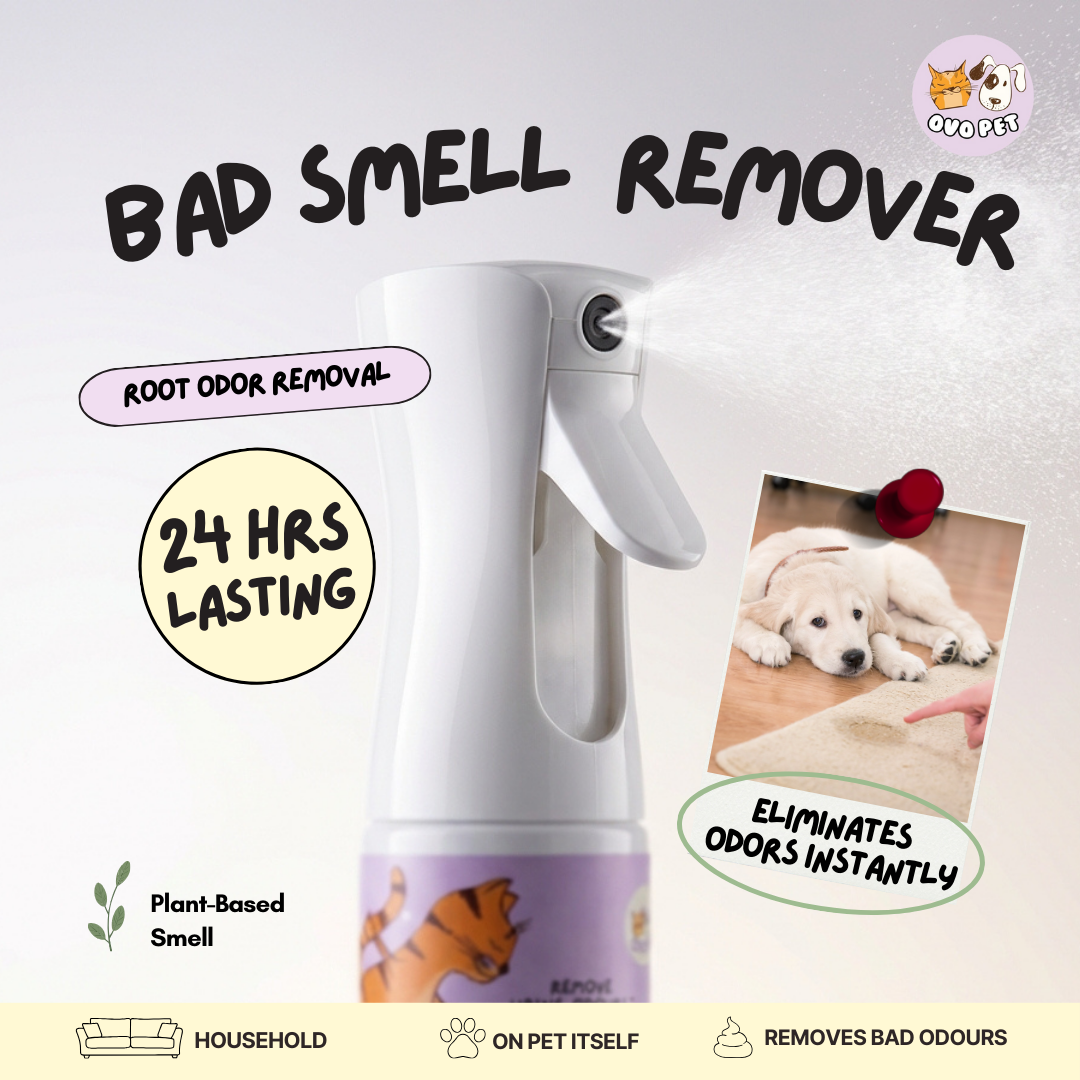 [Limited Ready Stock] Deodorant Spray 2.0 Upgraded Version