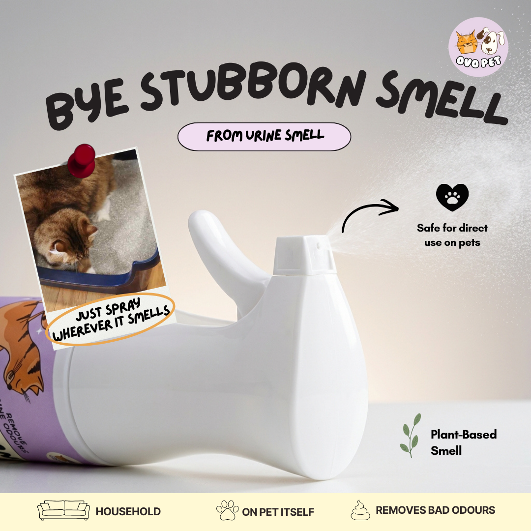 [Limited Ready Stock] Deodorant Spray 2.0 Upgraded Version