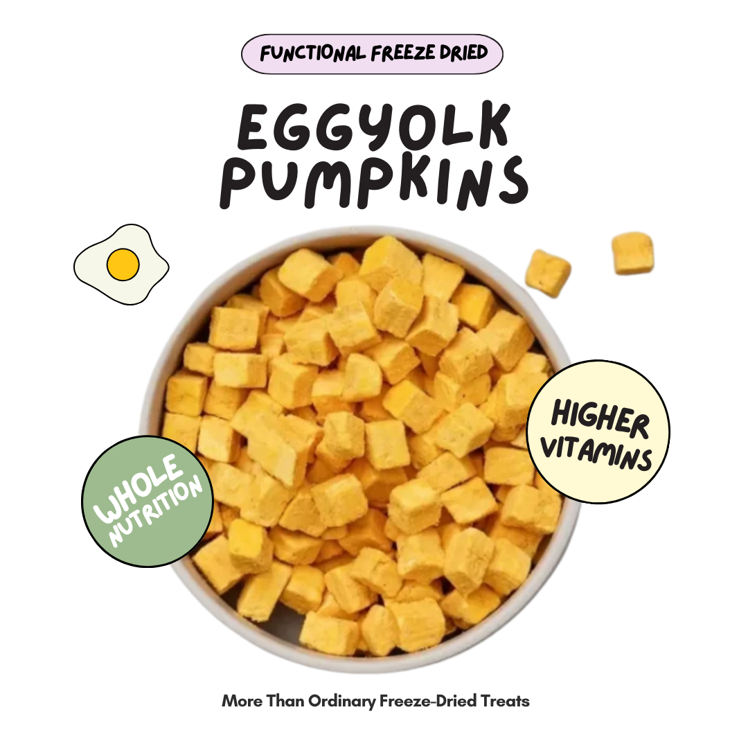 Pumpkin Eggyolk Freeze Dried - For Skin Coat
