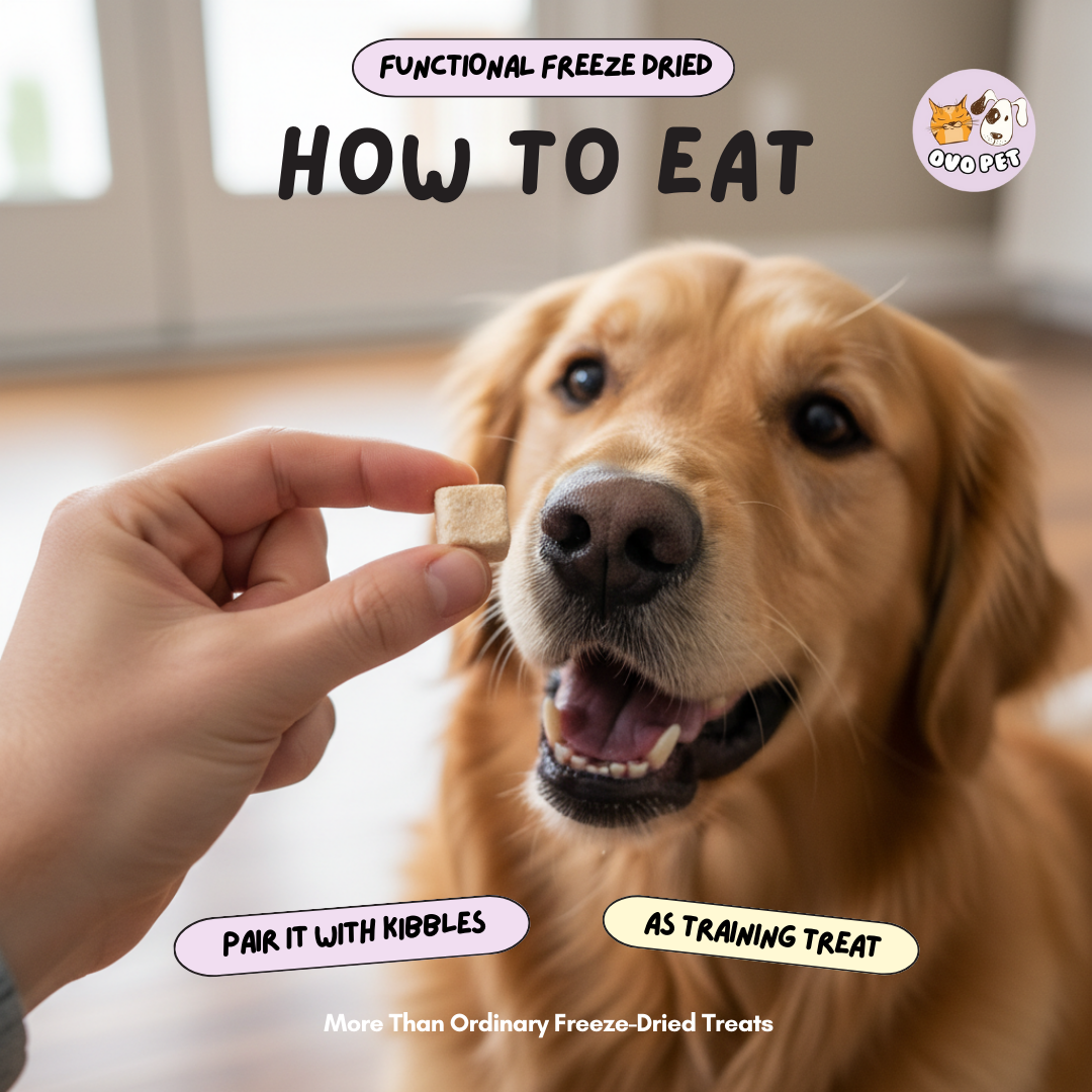 Chicken Probiotics Freeze Dried - For Digestion