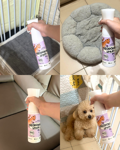 [Pre-Order only] Deodorant Spray 2.0 Upgraded Version