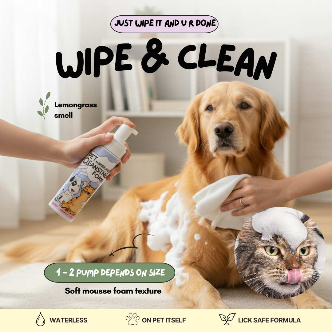 Waterless Cleansing Foam 200ml