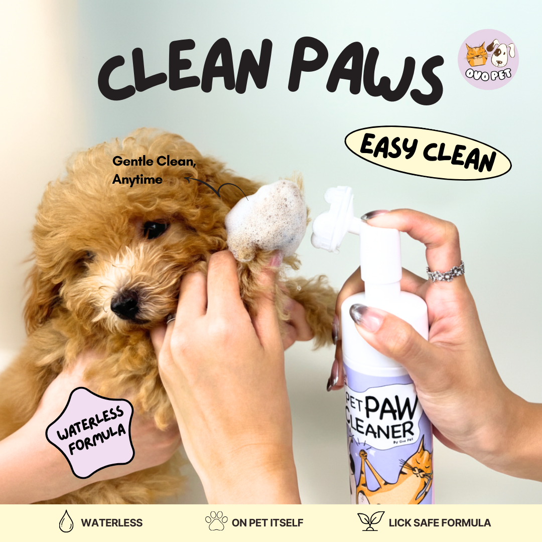 Paw Cleaner with Silicone Scrubber