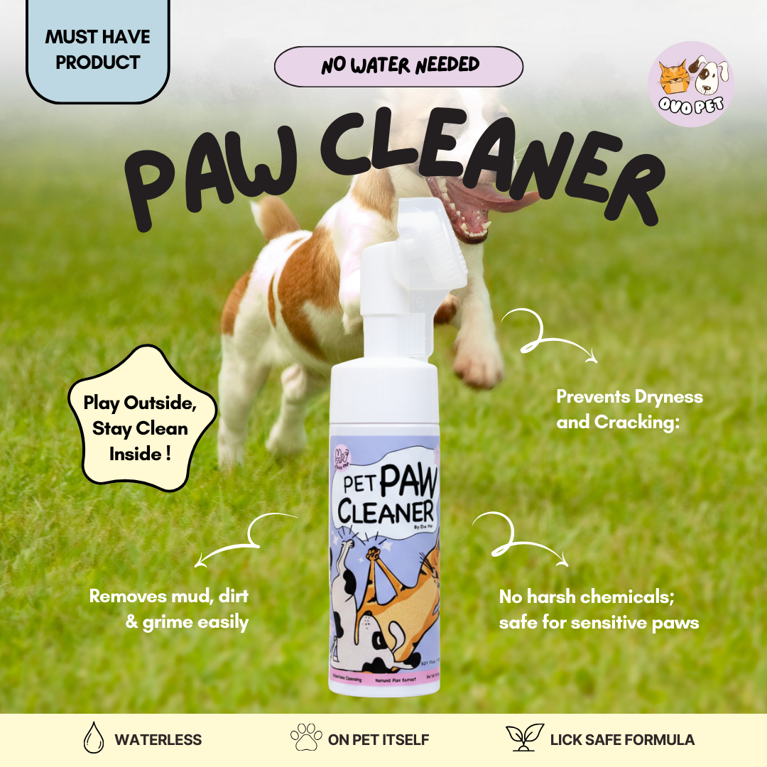 Paw Cleaner with Silicone Scrubber