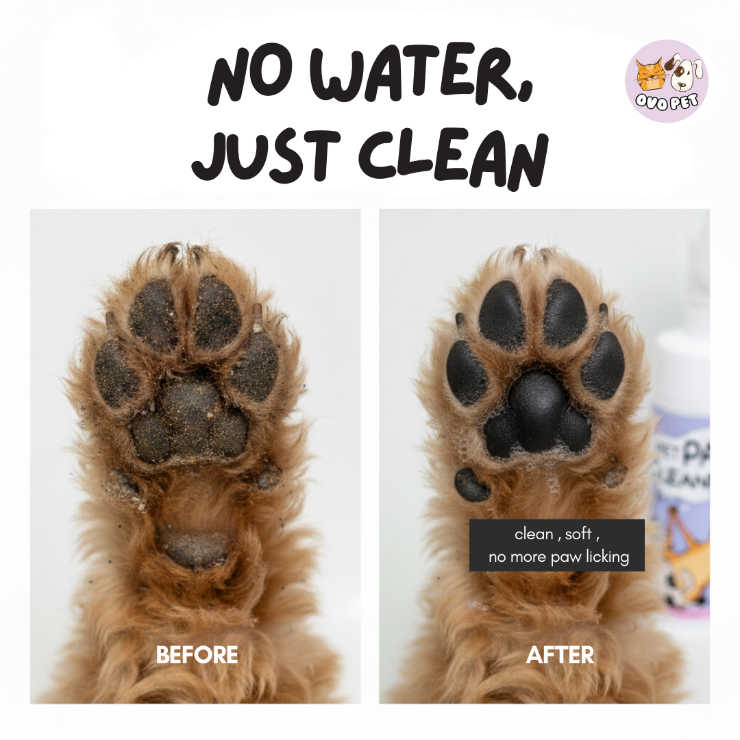 Paw Cleaner with Silicone Scrubber