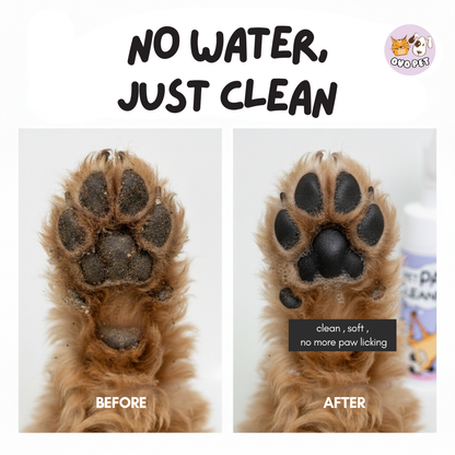 Paw Cleaner with Silicone Scrubber