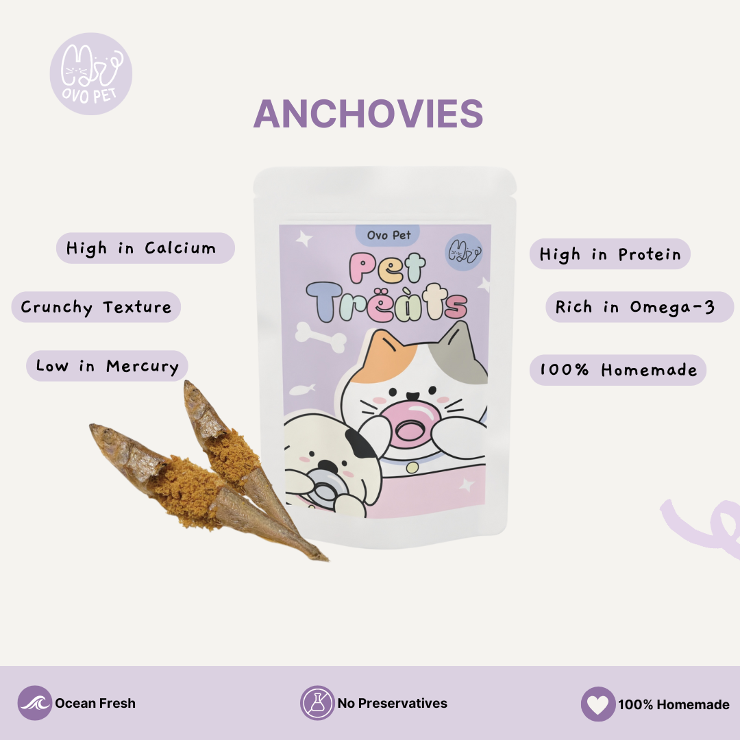 Homemade Freeze Dried Anchovies Pet Treat