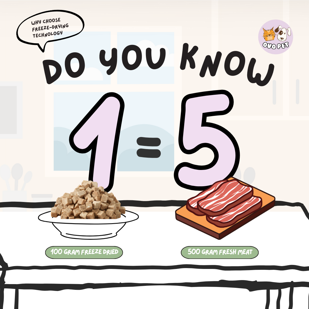 Duck Pear Freeze Dried - For Tear Stain and Bad Breath