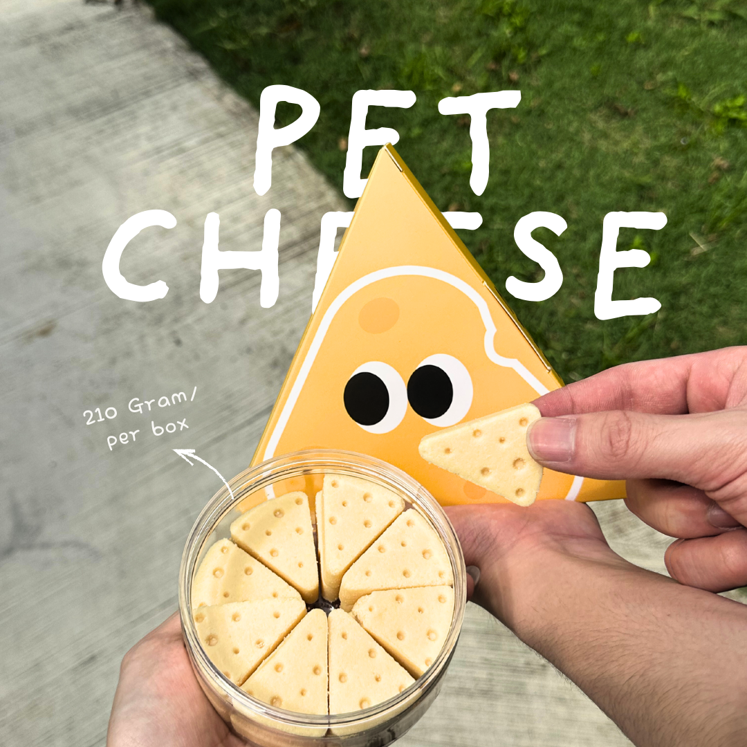 Cheezy Series - Cheese Cake