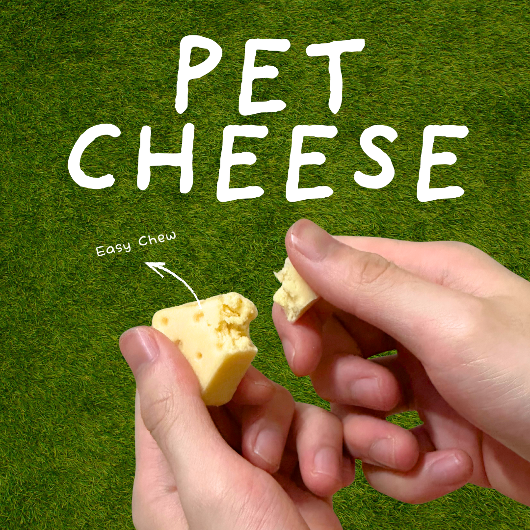 Cheezy Series - Cheese Cake