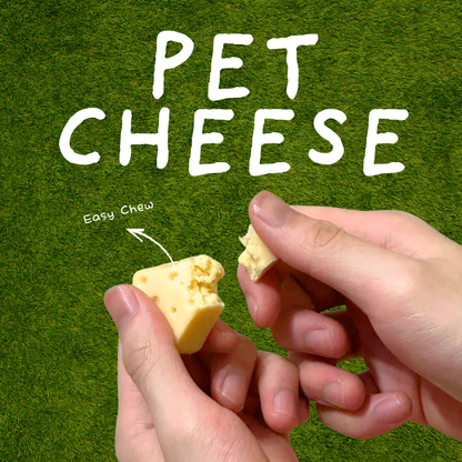 Cheezy Series - Cheese Cake