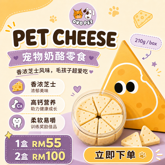 Cheezy Series - Cheese Cake