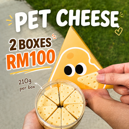 Cheezy Series - Cheese Cake