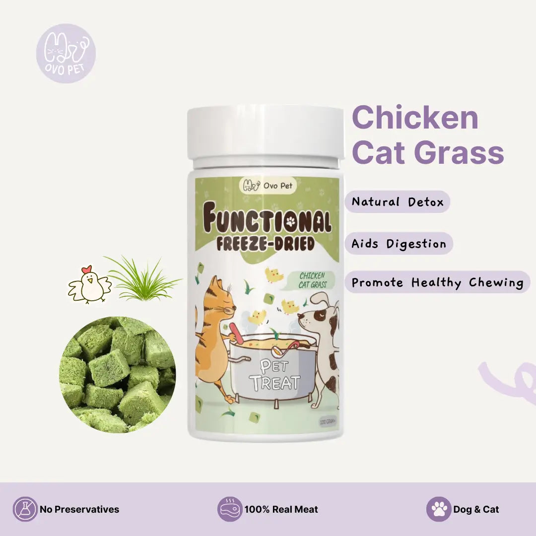 Chicken Cat Grass- Functional Freeze Dried 100G OVO PET