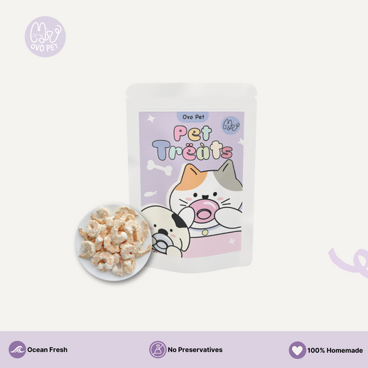 Homemade Freeze Dried Shrimp
