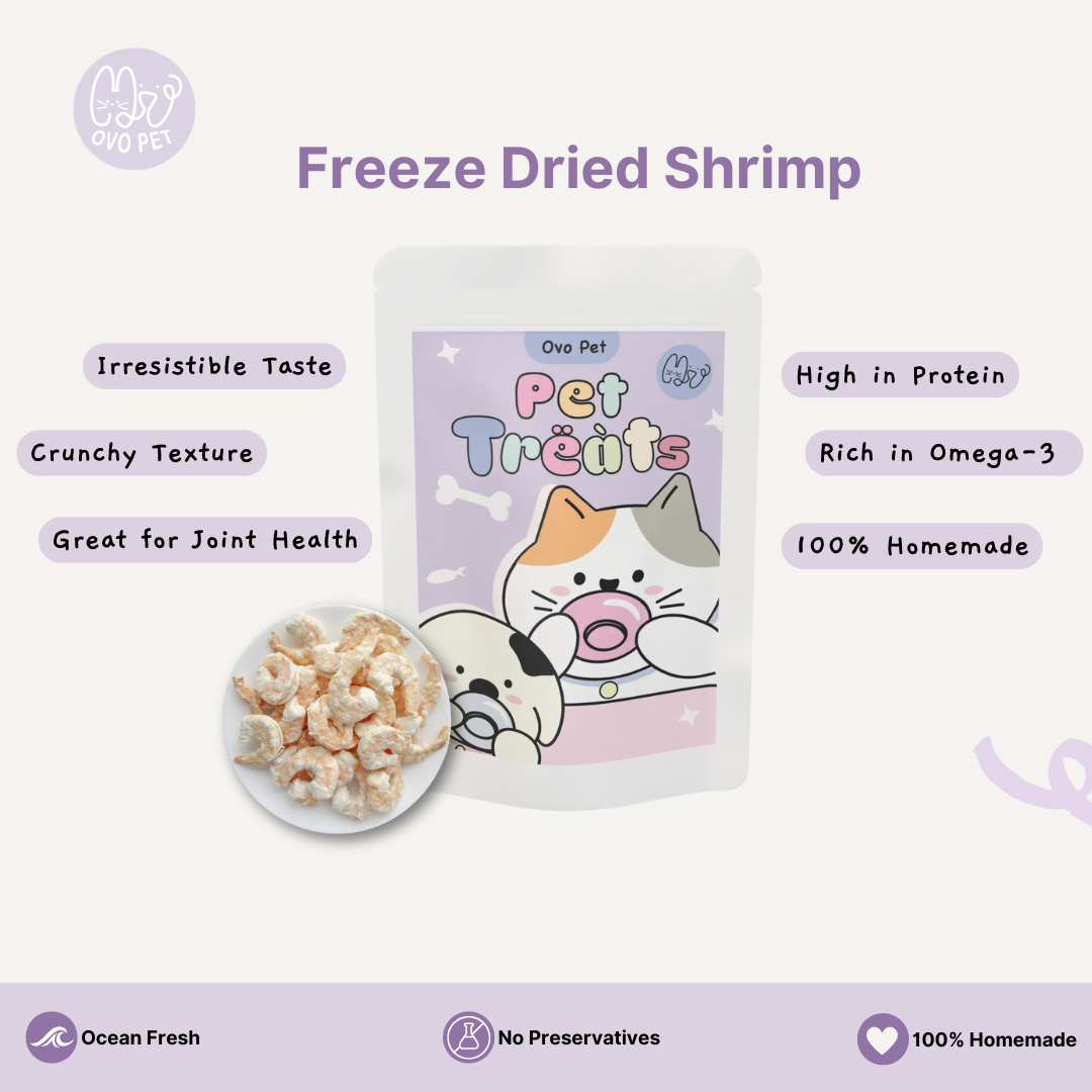 Homemade Freeze Dried Shrimp