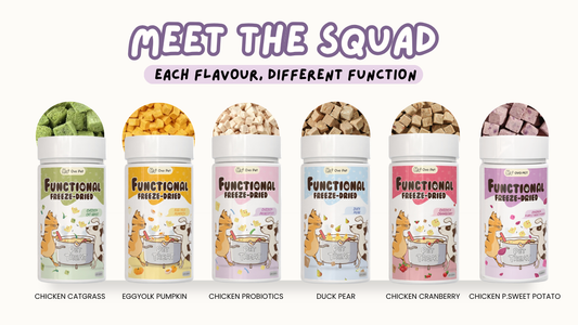 [Clearing Stock OFFER] OvoPet Freeze-Dried Functional Treats – Choose Any 5 Flavours (100g Each)