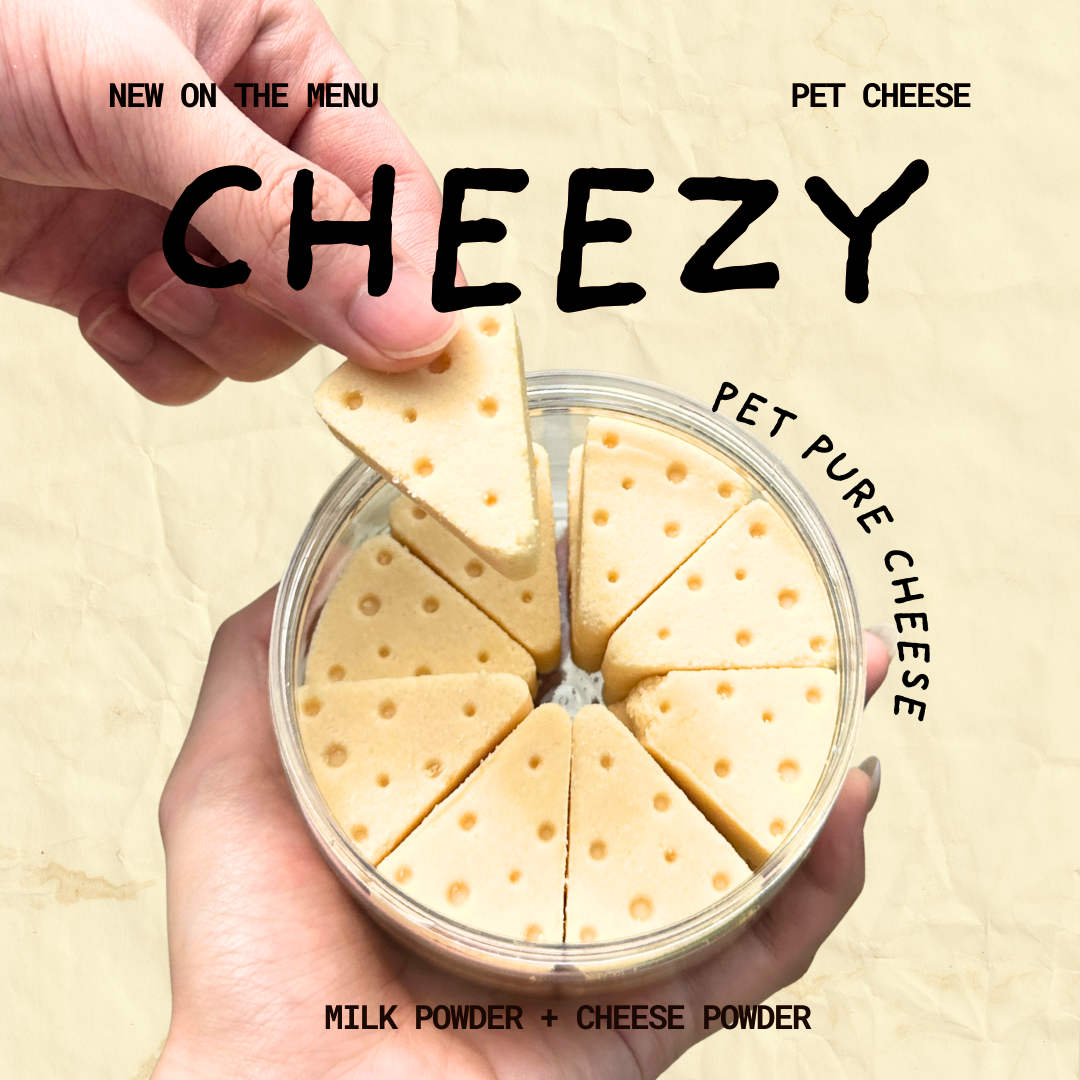 Cheezy Series - Cheese Cake