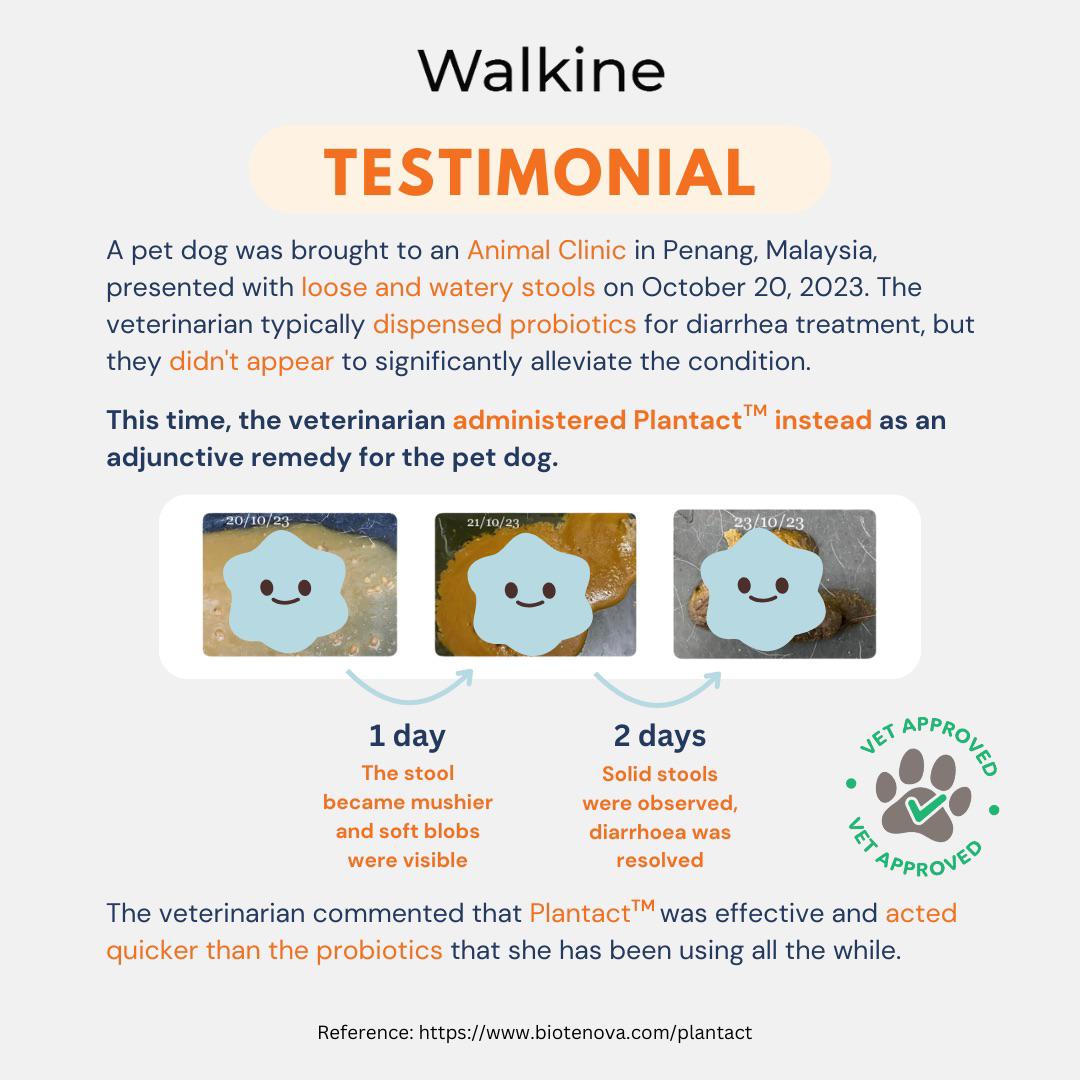 WALKINE - Pet Postbiotics (4th Generation Probiotics)