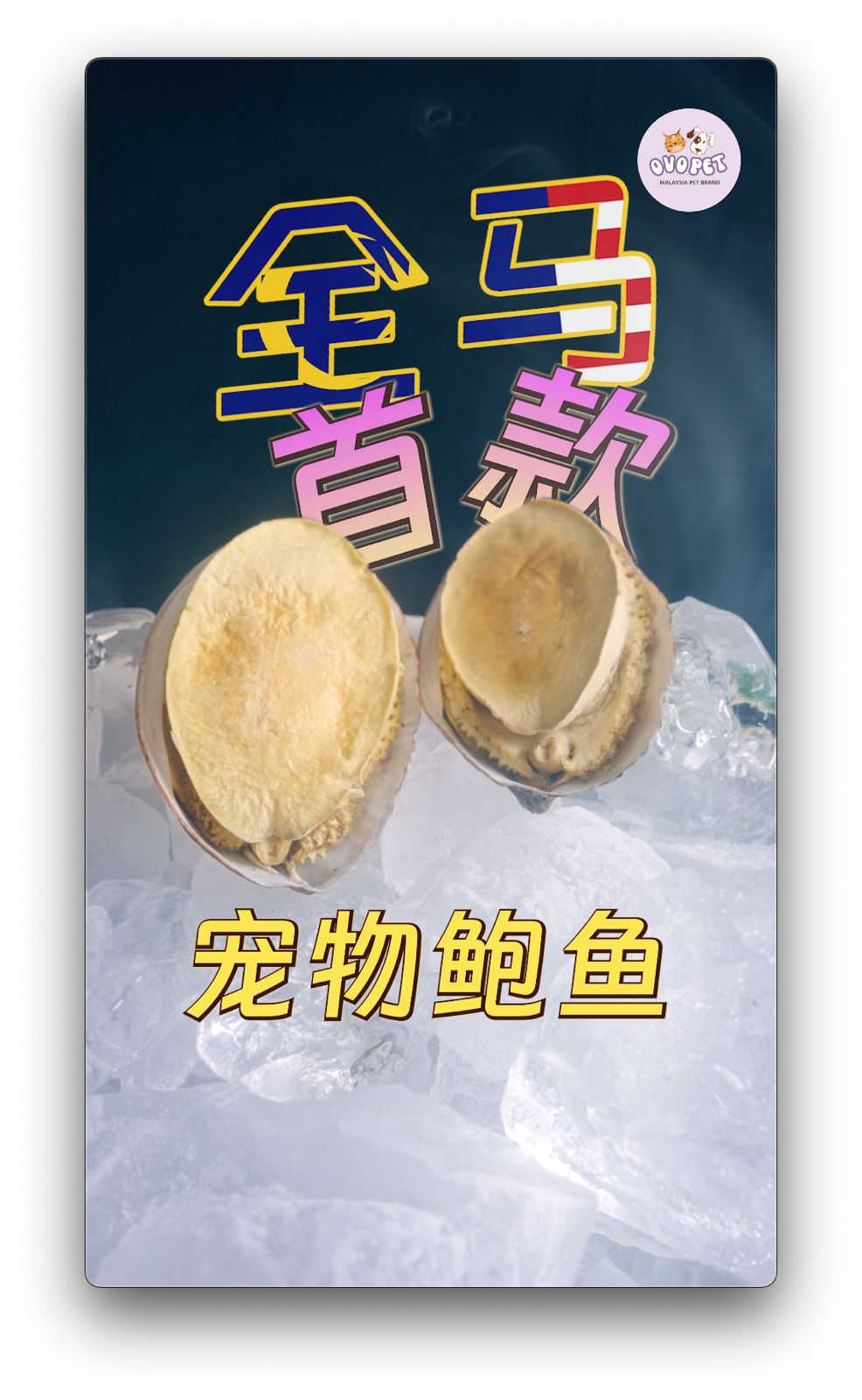 Homemade Freeze Dried Abalone