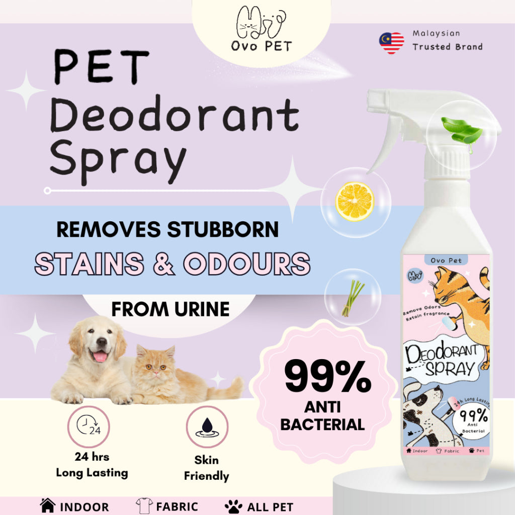 Deodorant Spray 500ML