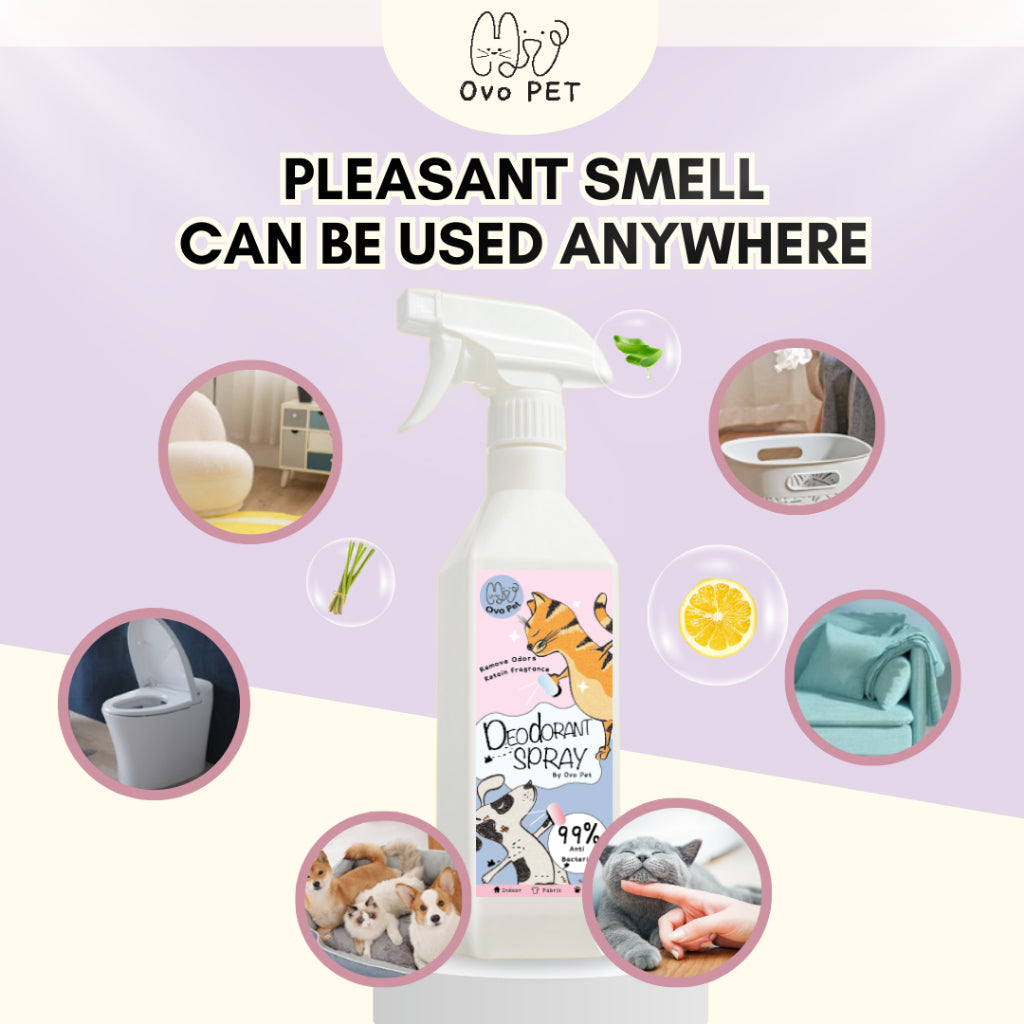 Deodorant Spray 500ML