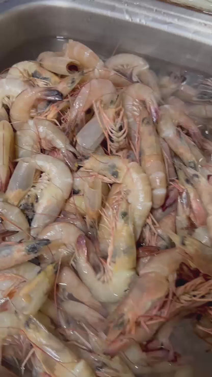 Homemade Freeze Dried Shrimp